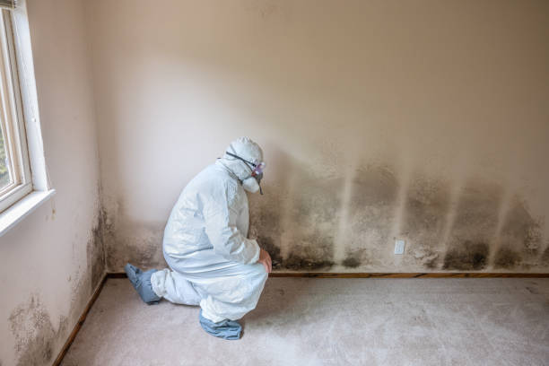 Best HVAC Mold Remediation in Marshville, NC