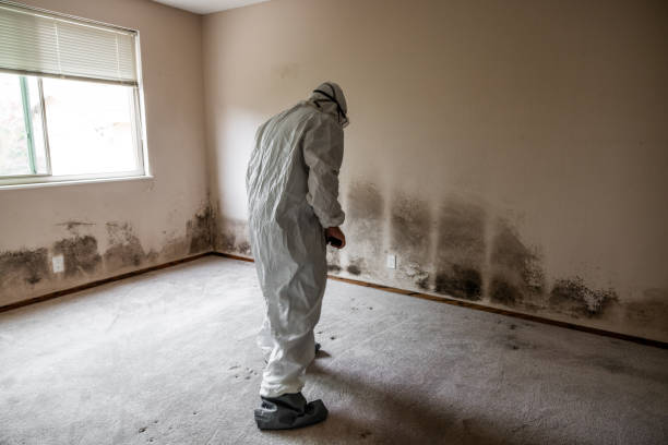 Best Bathroom Mold Remediation in Marshville, NC
